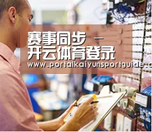 研发能力标题三