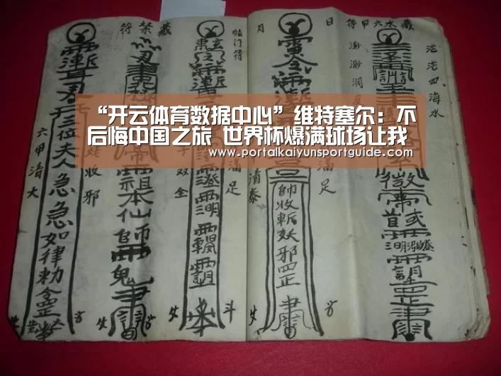 “开云体育数据中心”维特塞尔:不后悔中国之旅 世界杯爆满球场让我想回到欧洲(图2) 开云体育数据中心