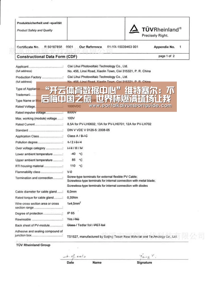 “开云体育数据中心”维特塞尔:不后悔中国之旅 世界杯爆满球场让我想回到欧洲(图1) 开云官网首页