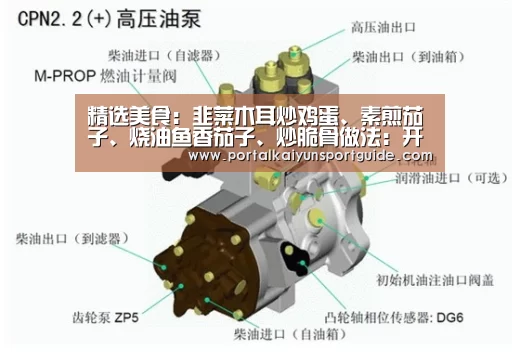 精选美食:韭菜木耳炒鸡蛋、素煎茄子、烧油鱼香茄子、炒脆骨做法:开云体育数据中心(图1) 开云体育官方入口