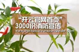 “开云官网首页”3000份消防宣传单营造钦州国庆安全氛围(图1) KAIYUN SPORTS