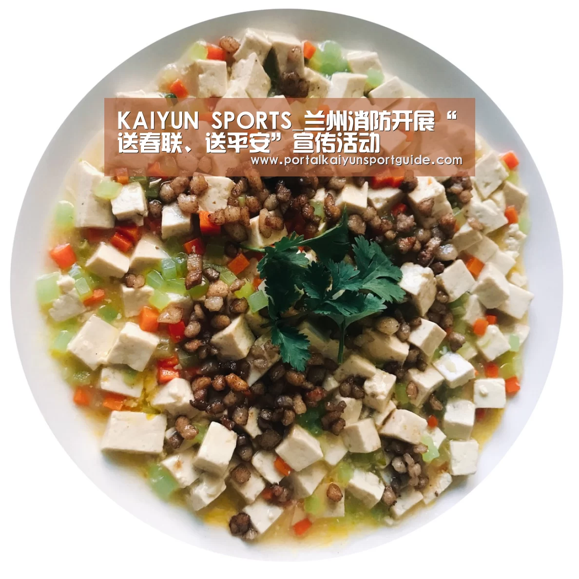KAIYUN SPORTS_兰州消防开展“送春联、送平安”宣传活动(图2) 开云体育数据中心